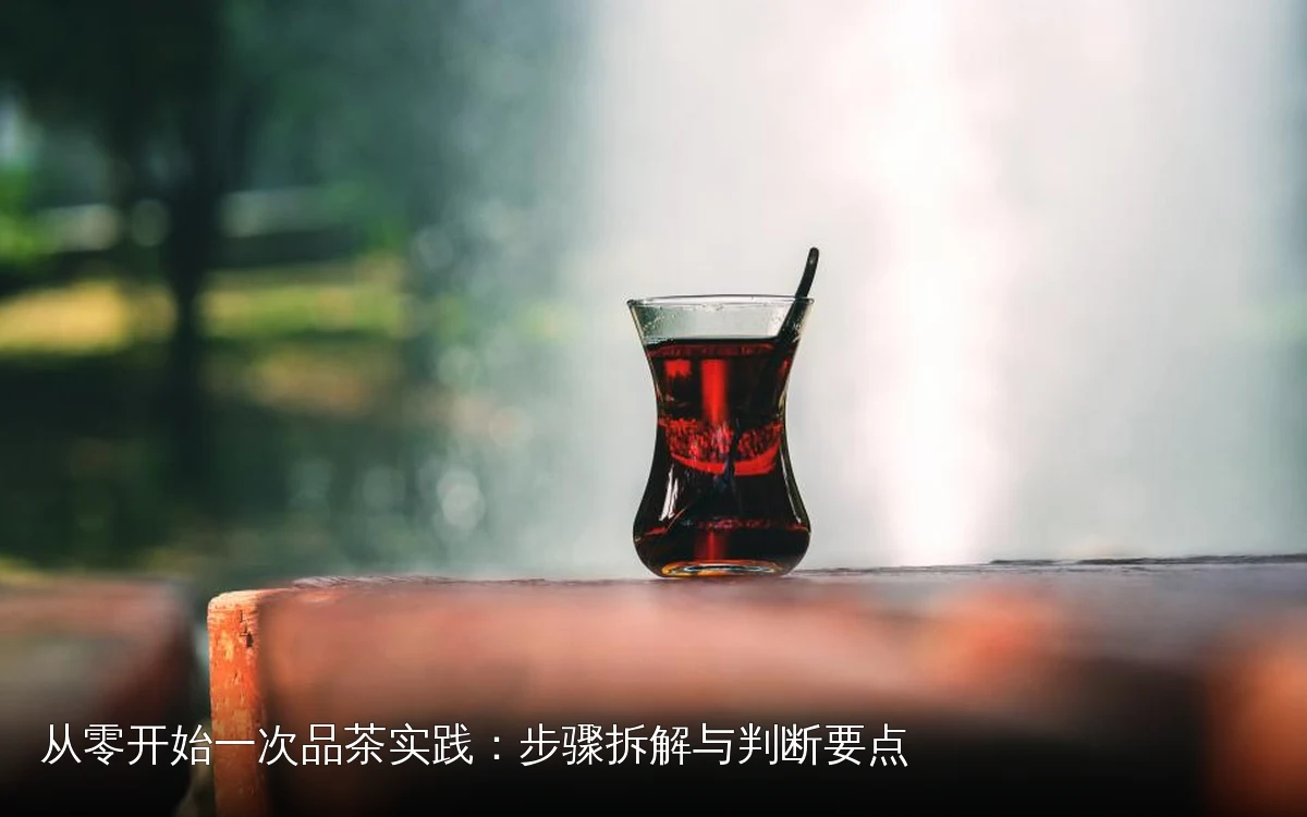 从零开始一次品茶实践：步骤拆解与判断要点